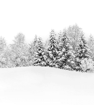 Papier peint panoramique évasion hivernale - Muralconcept