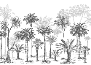 Papier peint Jungle Black & White, XXL, tendance