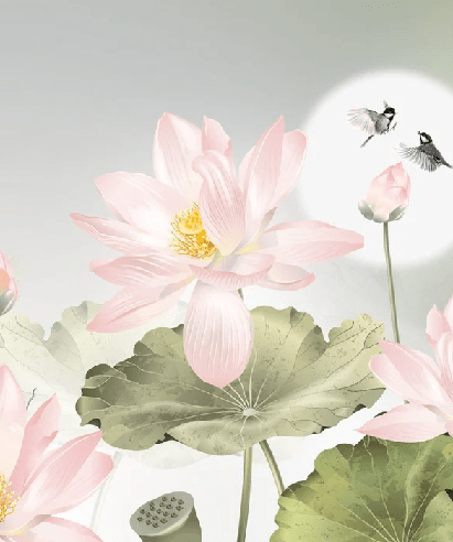 Papier peint orchidée floral romantique - Muralconcept