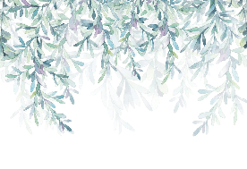 Papier peint Végétal & Scandinave style - Muralconcept