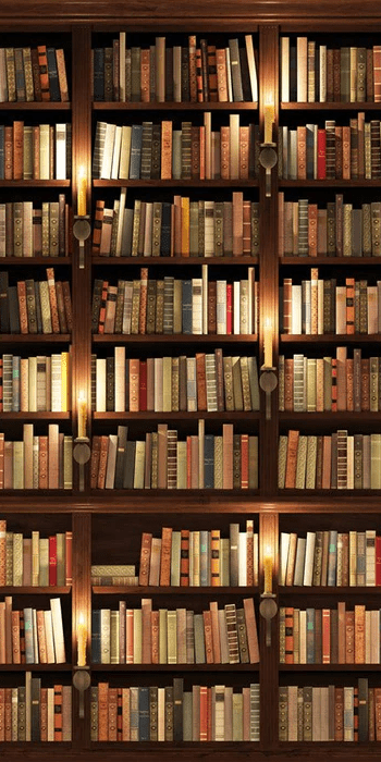 Papier peint trompe l'oeil Authentique Bibliothèque - Muralconcept