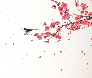 Papier peint harmonie zen sakura - Muralconcept