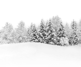 Papier peint panoramique évasion hivernale - Muralconcept