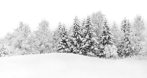 Papier peint panoramique évasion hivernale - Muralconcept
