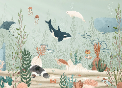 Tapete Baby Meereswelt