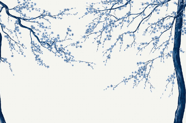 Papier peint panoramique fleur Sakura blanc - Muralconcept