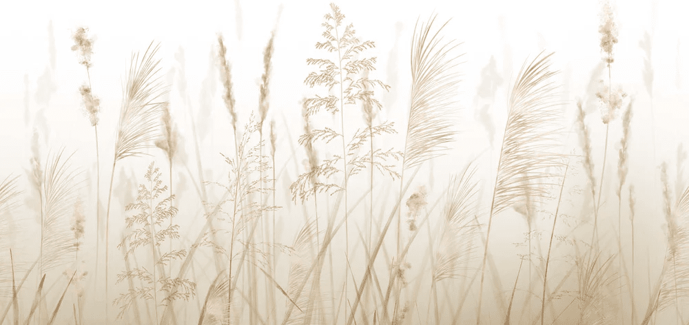 Papier peint fleur des champs de blé - Muralconcept