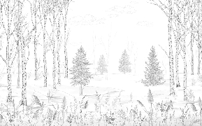 Papier peint forêt noir et blanc – Douceur des Bois - Muralconcept