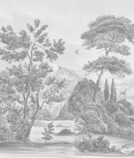 Papier peint panoramique Villa Borghese Rome – Gravure noir et blanc pins italiens - Muralconcept