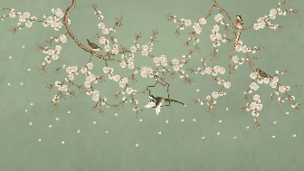 Papier peint sakura zen vert - Muralconcept
