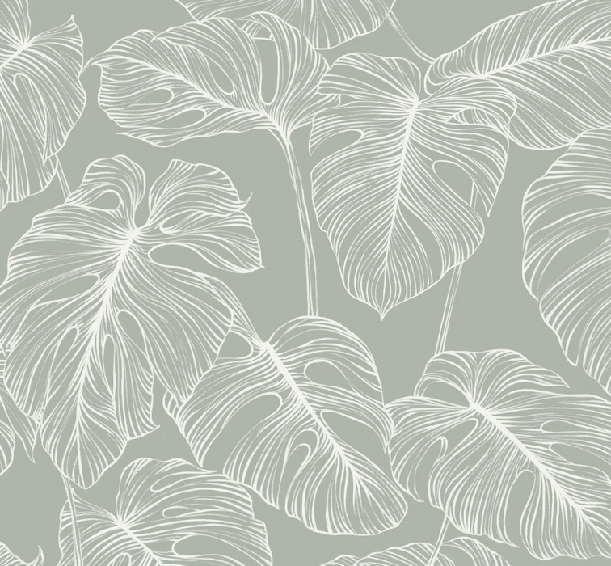 Papier peint feuille monstera sauge - Muralconcept