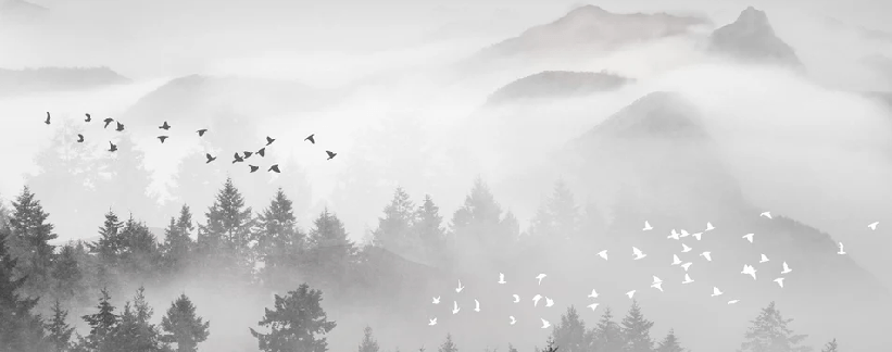 Tapete Mystischer Nebel Mountain