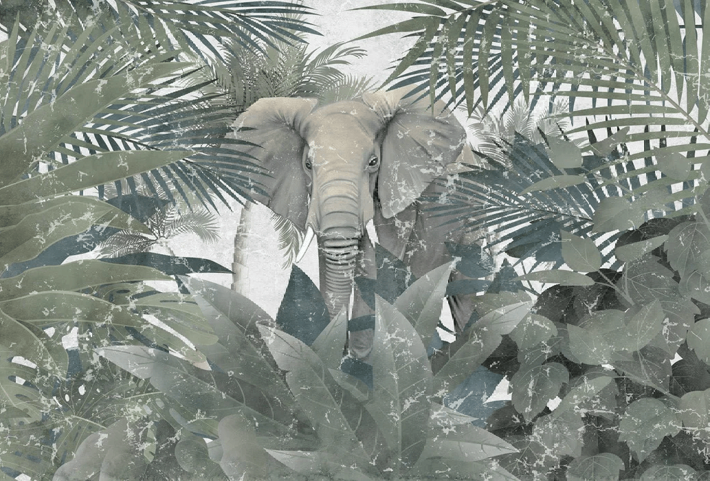 Papier peint Elephant d'Amazonie, XXL, tendance