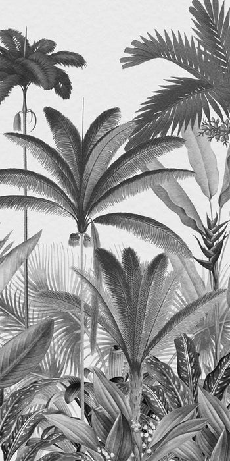 Papier peint panoramique jungle tree, XXL, tendance