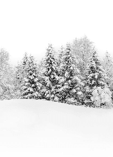 Papier peint panoramique évasion hivernale - Muralconcept