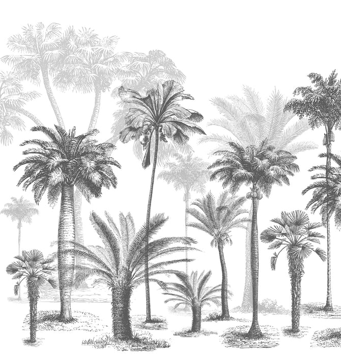 Papier peint Jungle Black & White - Muralconcept