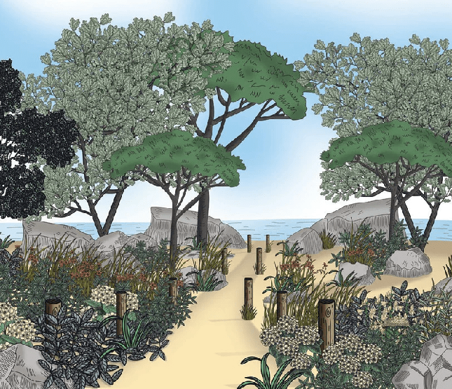 Papier peint paysage France bord de mer - Muralconcept