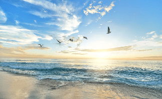 Papier peint Plage Paradisiaque - Muralconcept