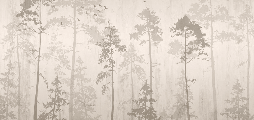 Papier peint Forêt automnale - Muralconcept