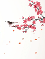 Papier peint harmonie zen sakura, XXL, tendance