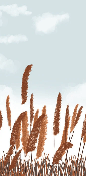 Papier peint pampa automne - Muralconcept