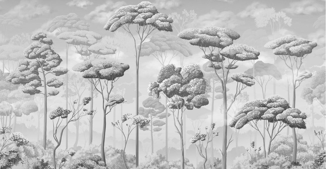 Papier peint panoramique pinèdes noir et blanc, XXL, tendance