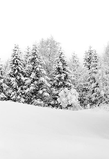 Papier peint panoramique évasion hivernale - Muralconcept