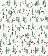 Papier peint Alpine glisse - Muralconcept