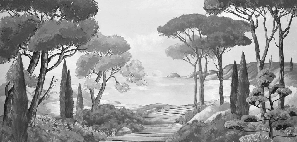 Papier peint balade dans les calanques noir et blanc - Muralconcept