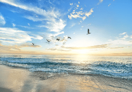 Tapete Paradiesischer Strand