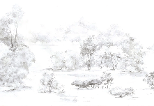 Papier peint forêt de pin aquarelle, XXL, tendance