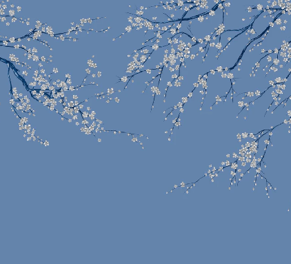 Papier peint panoramique fleur Sakura bleuté - Muralconcept