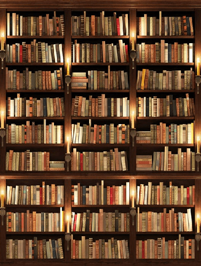 Papier peint trompe l'oeil Authentique Bibliothèque - Muralconcept