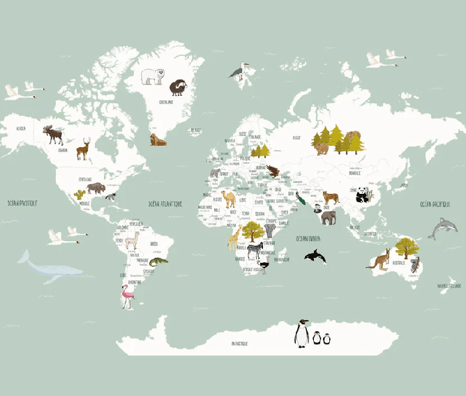 Papier peint Carte du monde en Francais enfant vert - Muralconcept