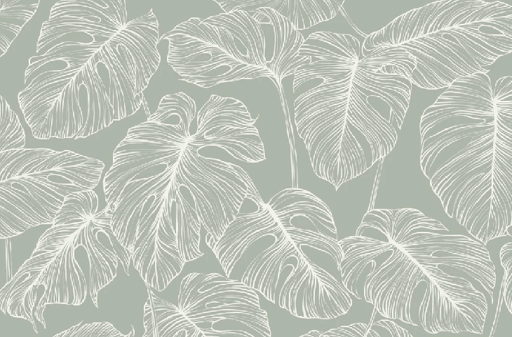 Tapete Monstera-Blatt Salbei - Muralconcept