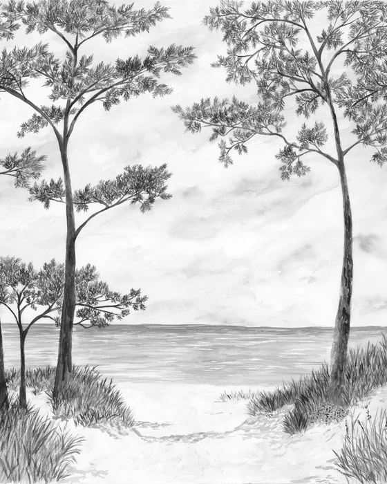 Papier peint Pins maritimes et dunes - Noir et blanc - Muralconcept