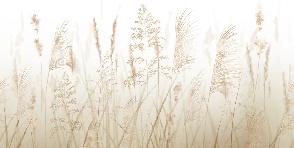 Tapete Badezimmer Weizenfelder beige