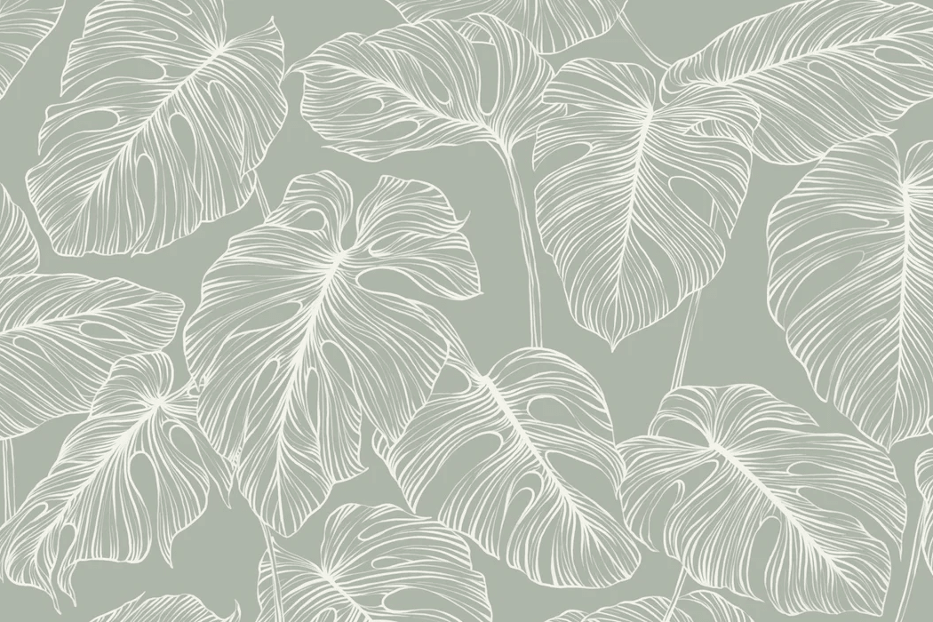 Papel pintado hoja de monstera salvia - Muralconcept