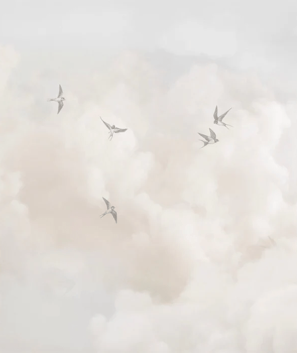 Papier peint panoramique - Ciel intemporel, XXL, tendance