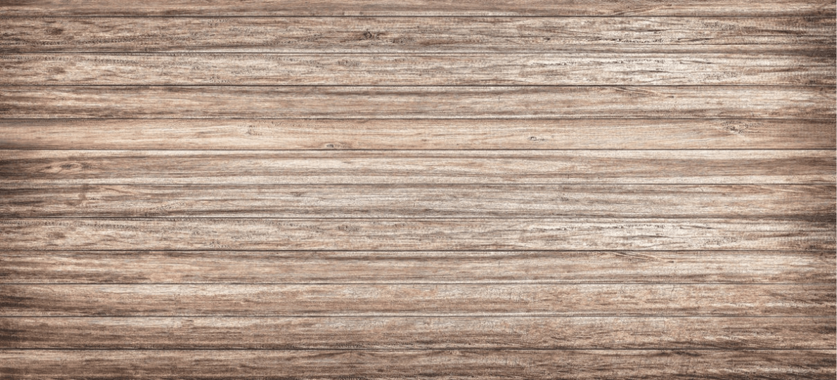 Papier peint mélèze alpin brut, XXL, tendance