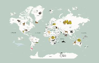 Papier peint Carte du monde en Francais enfant vert - Muralconcept