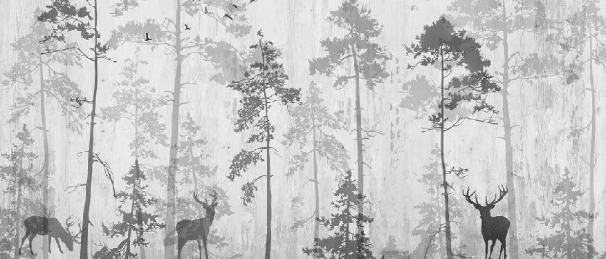 Papier peint Forêt Nostalgique - Muralconcept