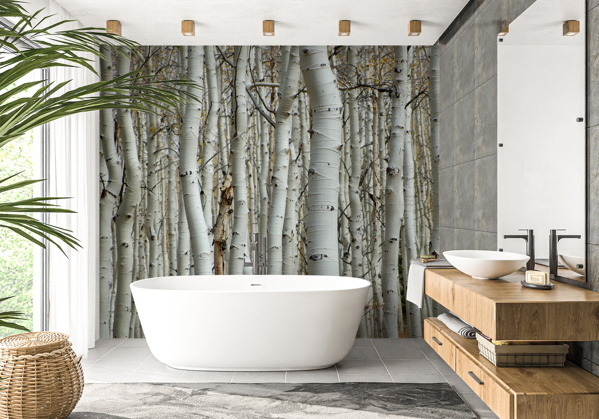 Papier peint salle de bain forêt de bouleau, mural concept, tendance