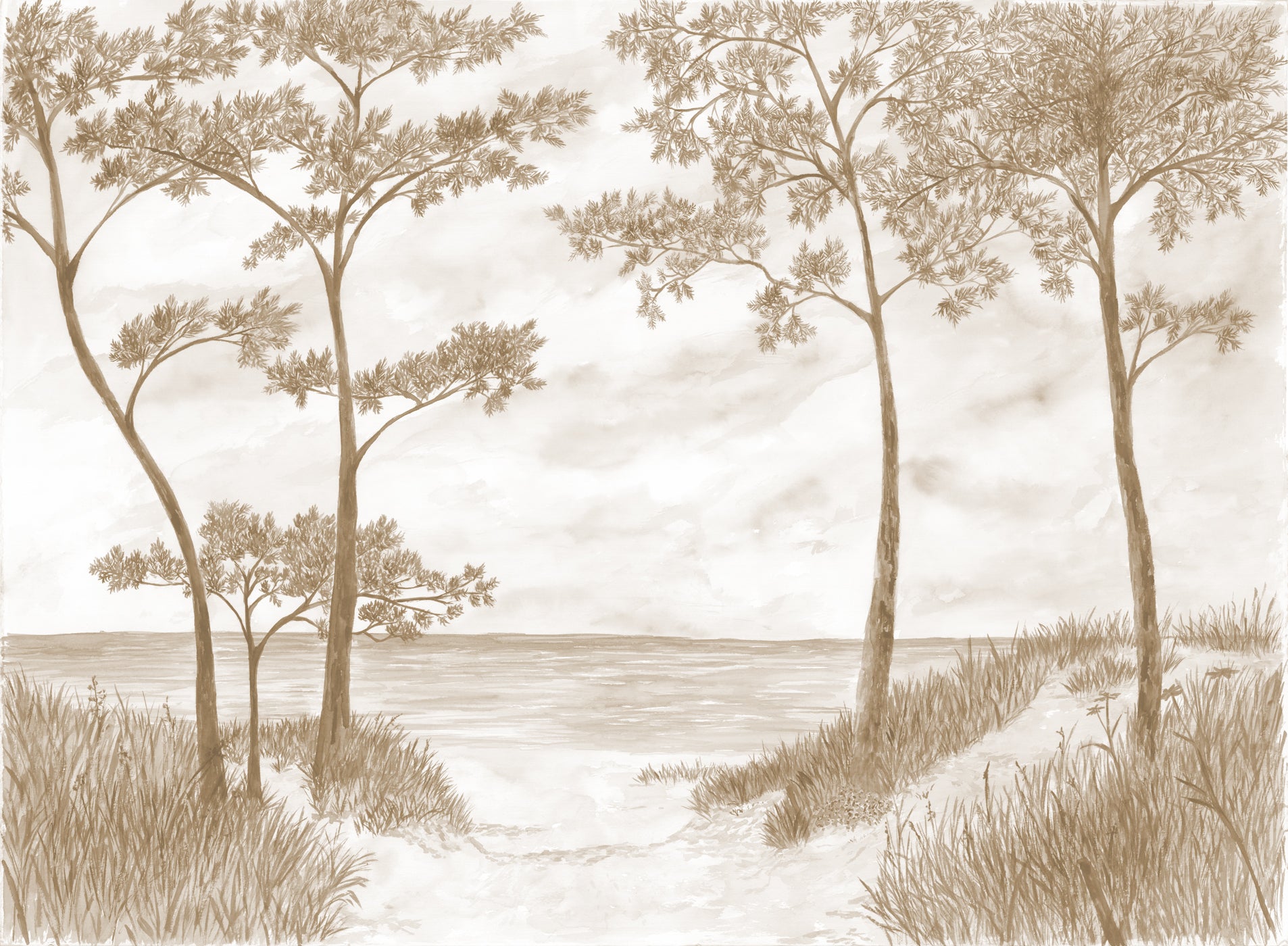 Papier peint Pins maritimes et dunes - Sépia, XXL, tendance