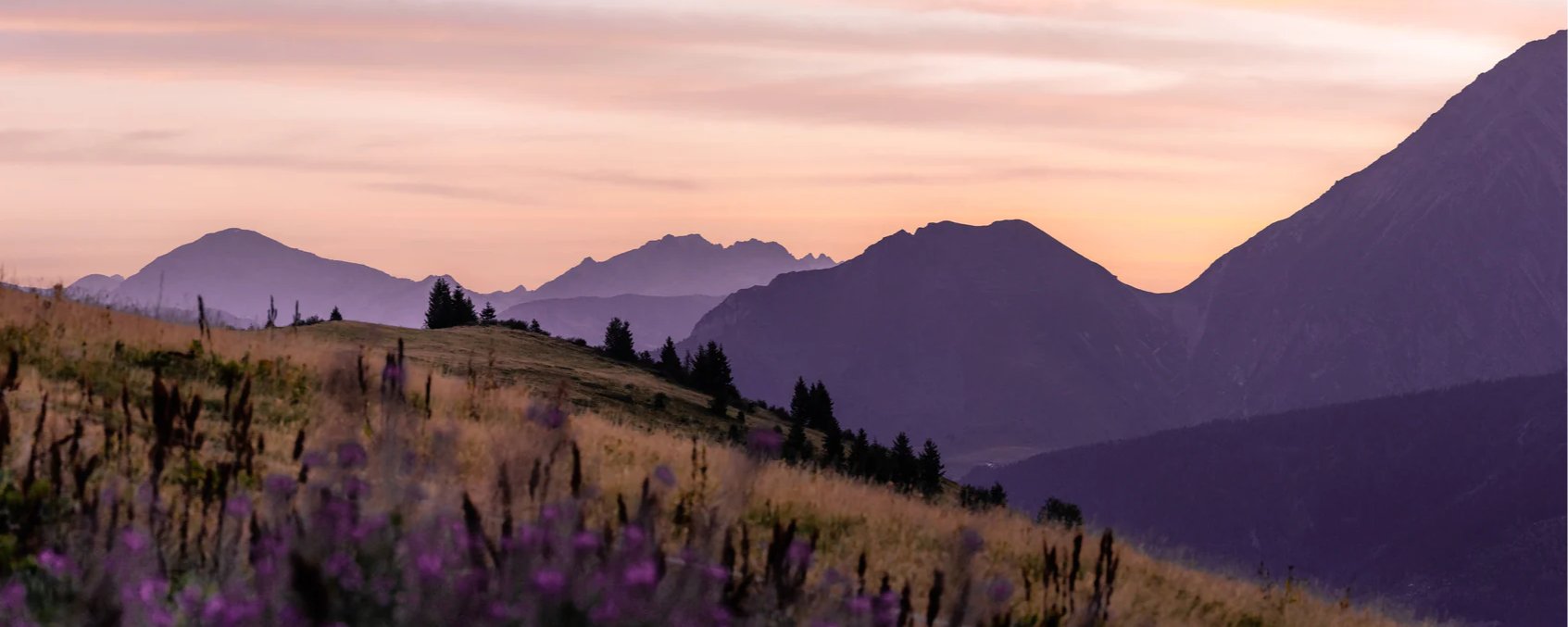 Papier peint restaurant massif du Giffre, mural concept, tendance