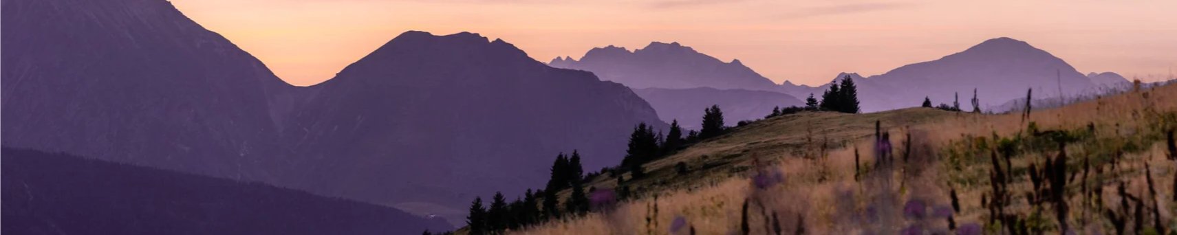 Papier peint restaurant massif du Giffre, mural concept, tendance