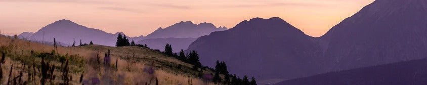 Papier peint restaurant massif du Giffre, mural concept, tendance