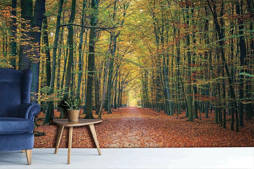 Papier peint panoramique forêt du Vercors - papier peint sur mesure francais - muralconcept