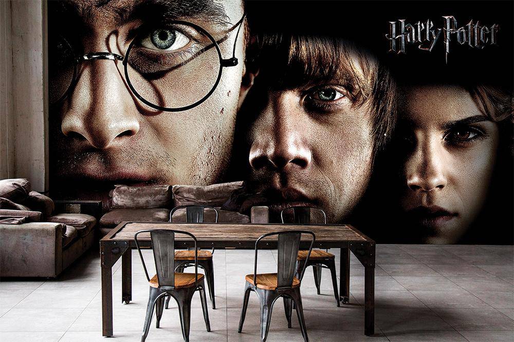 Panorama-Tapete Harry Potter Held